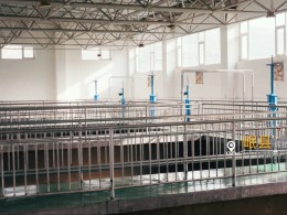 雙獎(jiǎng)加身載譽(yù)前行 我司獲評(píng)新疆輪臺(tái)機(jī)場(chǎng)項(xiàng)目?jī)?yōu)質(zhì)合作企業(yè)